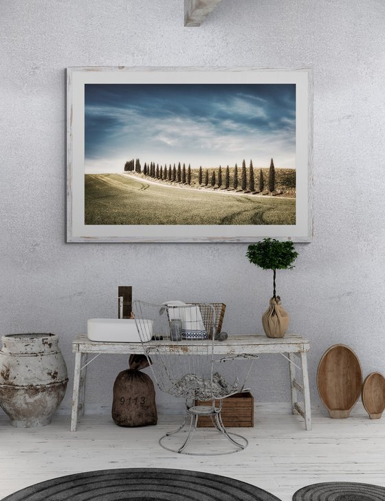 Tuscan white road with cypresses