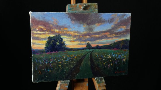 Sunset Over Wildflowers Field