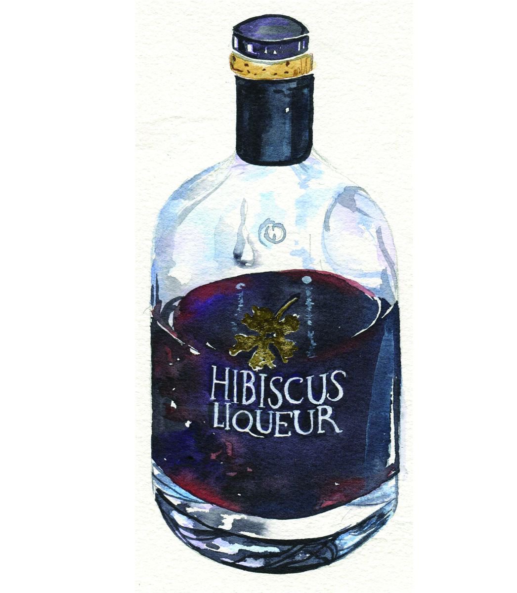 Original Watercolour Painting of Hibiscus Liqueur in a Bottle by Hannah Clark