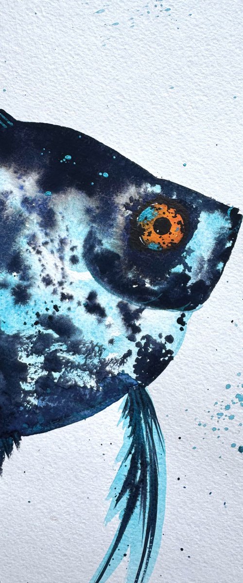 Exotic Blue Azure fish by Yuliia Sharapova