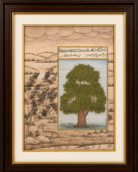 Royal Banyan Tree on Antique Paper