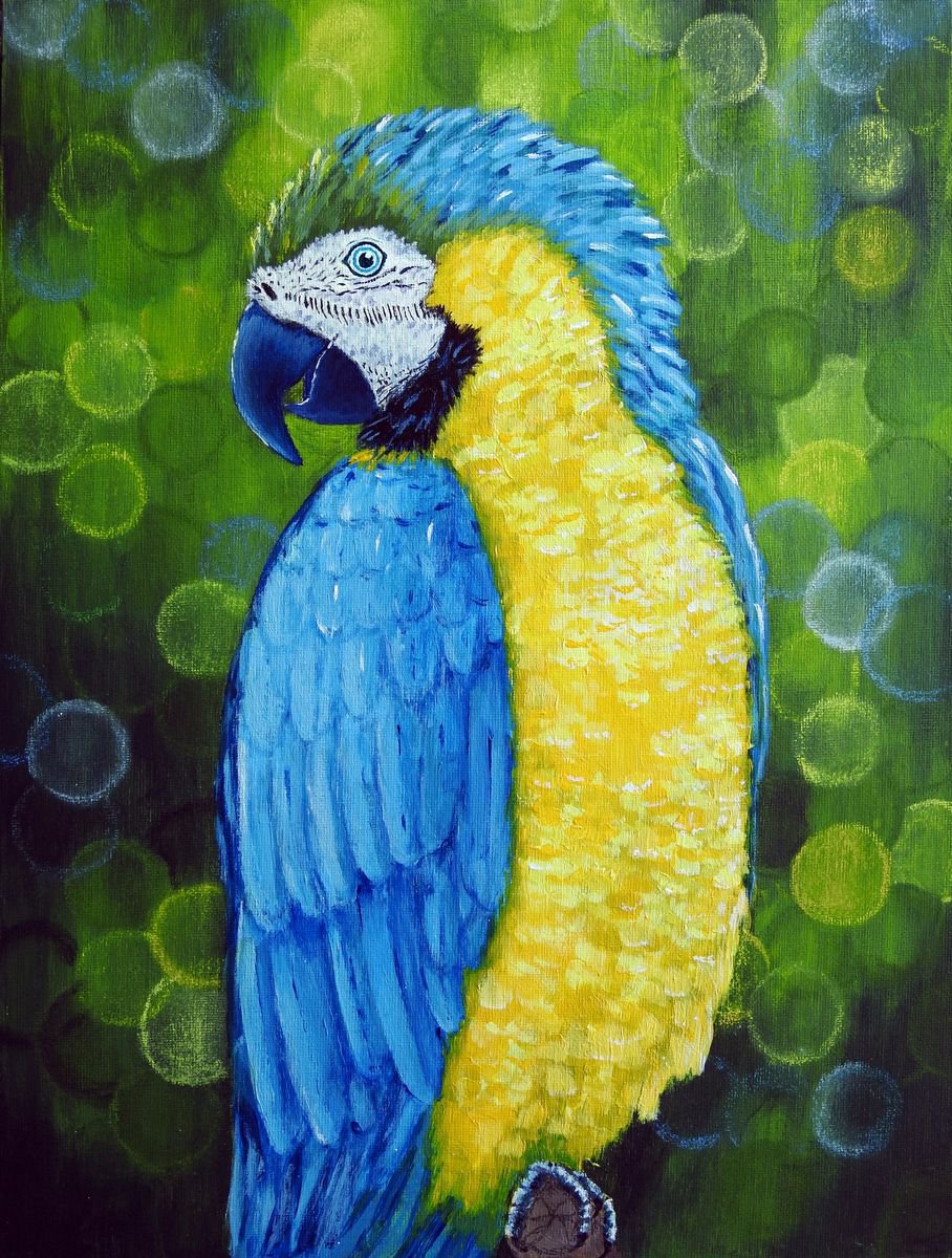 Parrot by Olga Tretyak