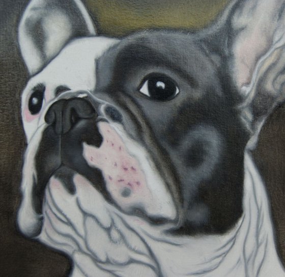 French Bulldog study on paper. Free Shipping