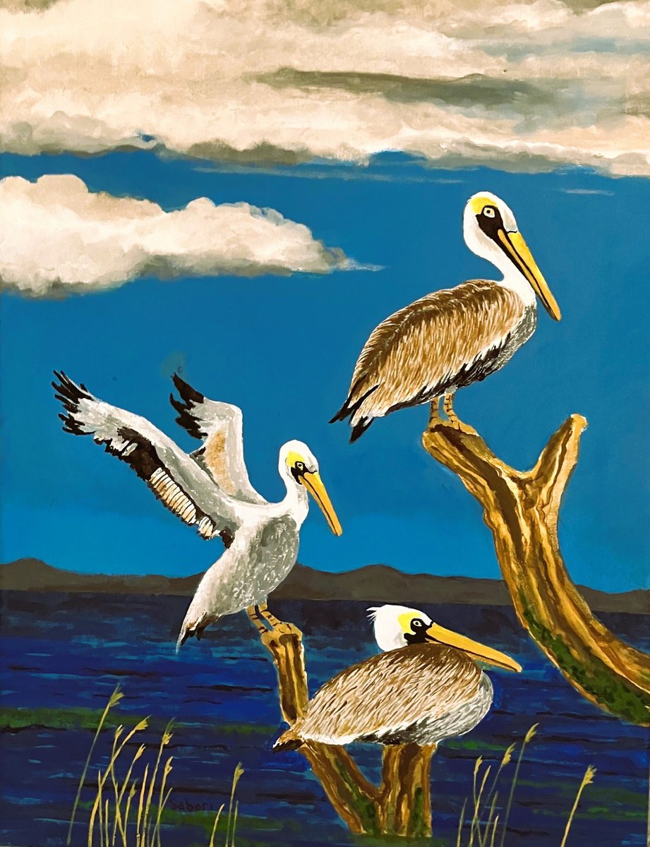 Photorealistic Animal Acrylic Painting By Andrew Sabori, 18 X 24, The Pelicans, Original Artwork