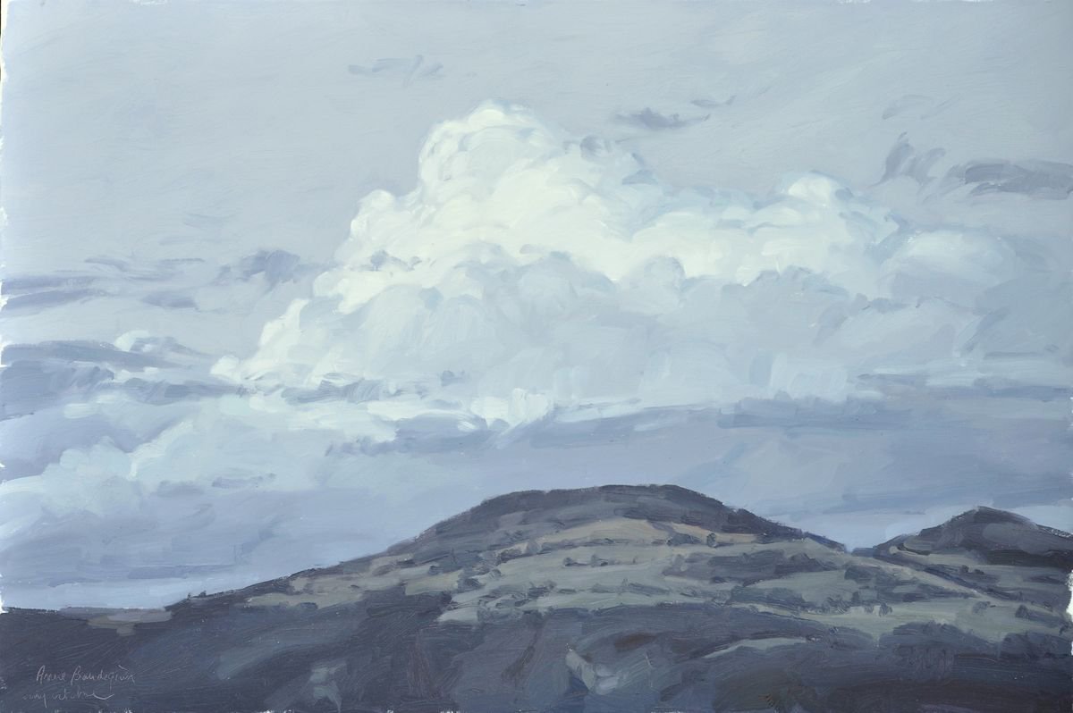 Impressionistic Landscape Oil Painting By Anne Baudequin, 47 X 31, October 5, Sucs De Malley, Dusk, Original Artwork