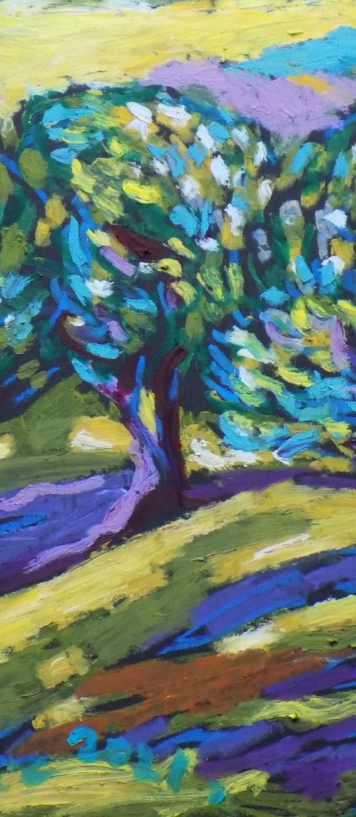 Olive grove No 32 by Maja Grecic