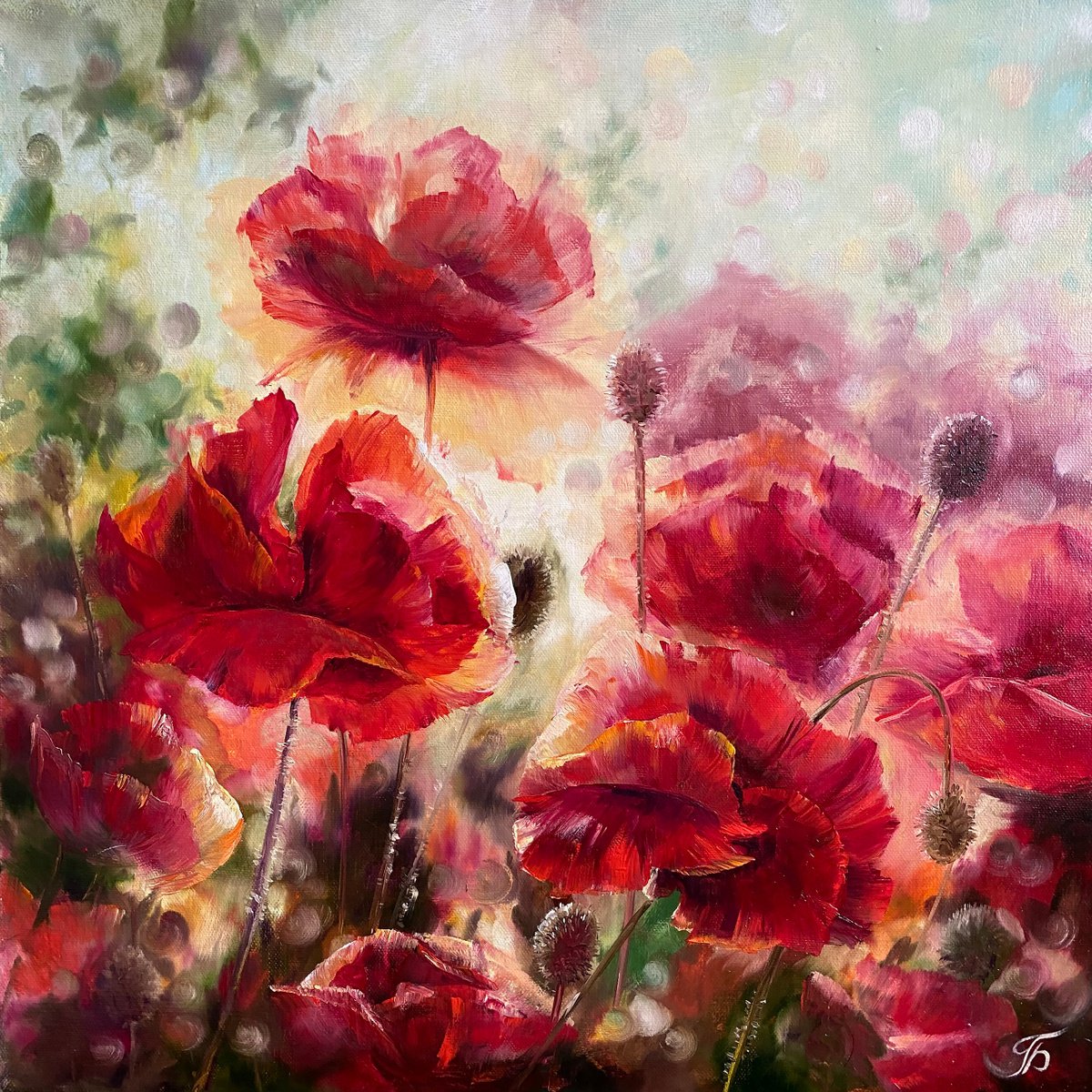 Transparent poppies. Red flowers. by Larisa Batenkova