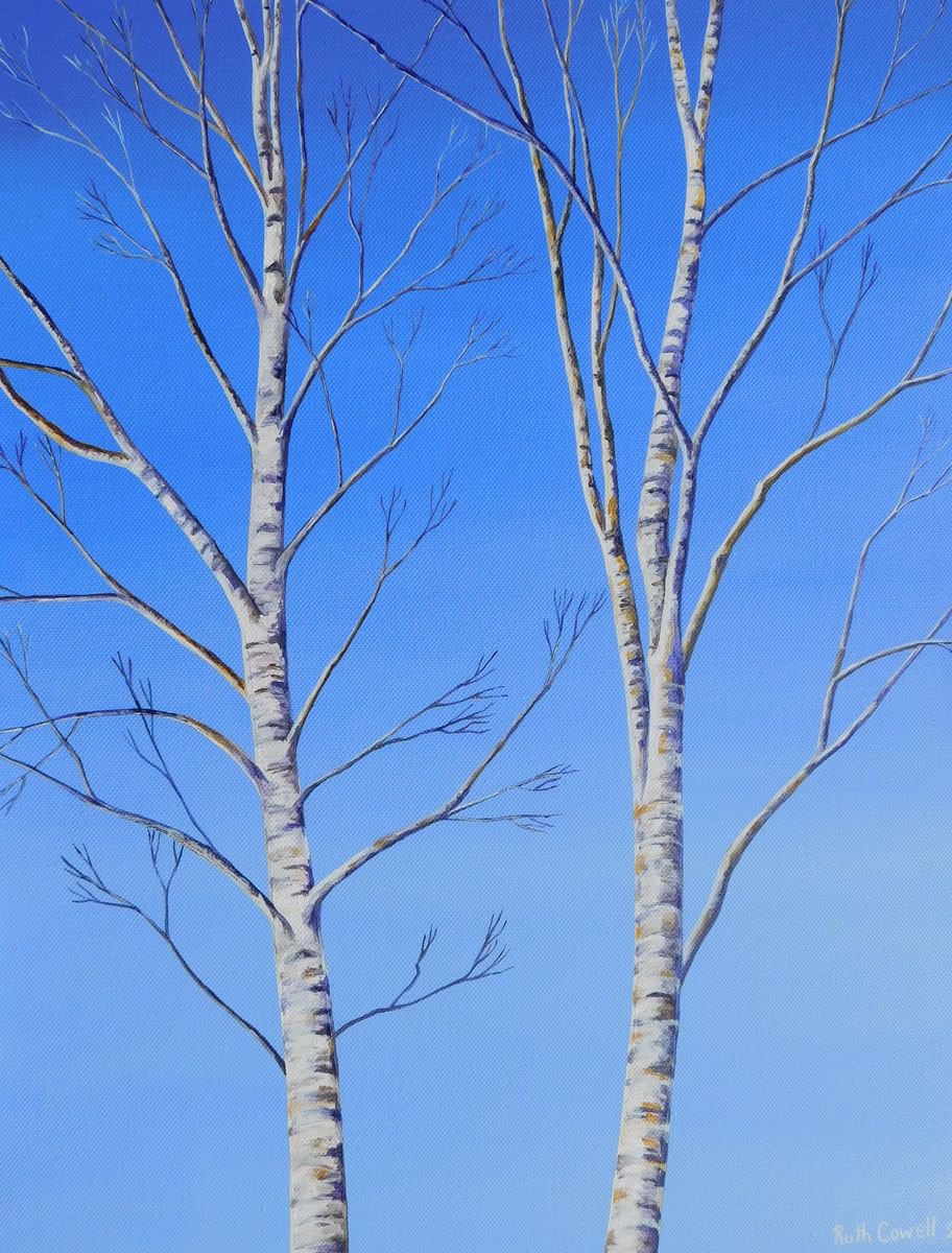 Two Silver Birch Trees in Winter by Ruth Cowell