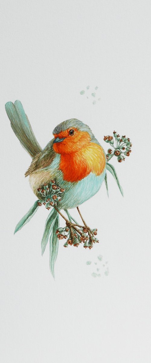 Spring robin by Karina Danylchuk