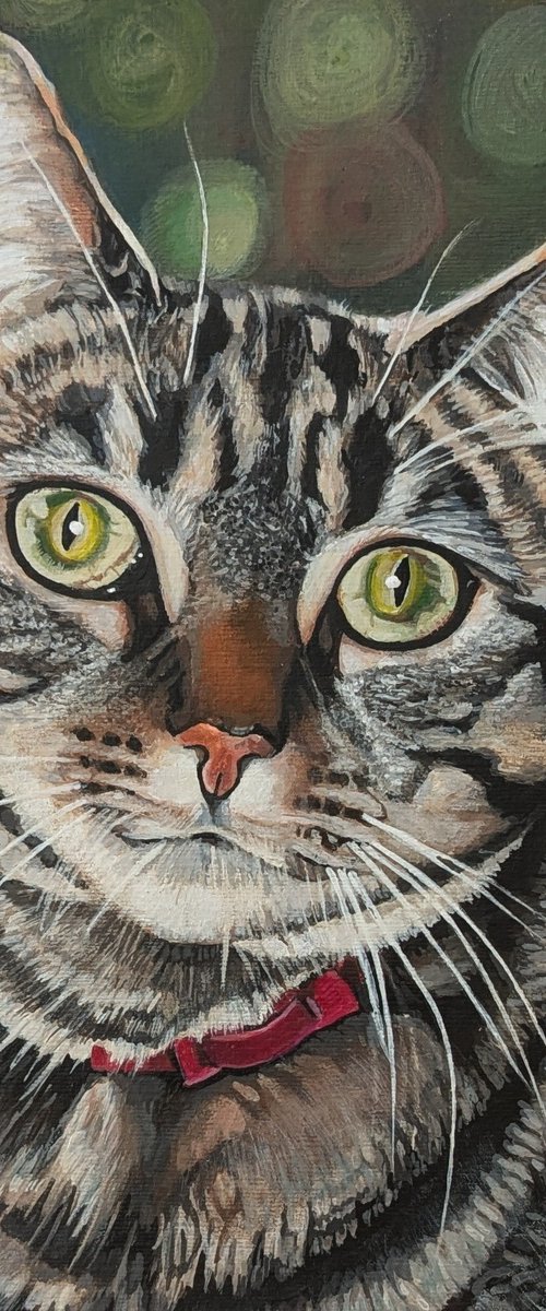 Green eyes by Karen Wilcox