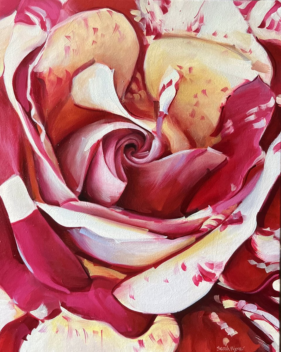 Striped Rose by Sarah Wymer