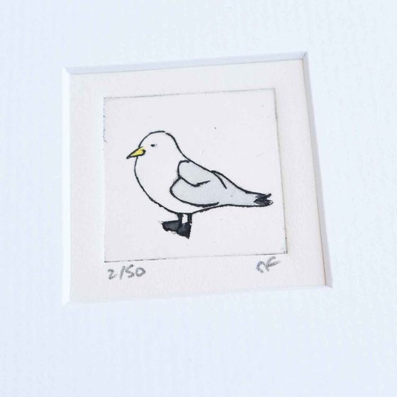 Mini framed kittiwake