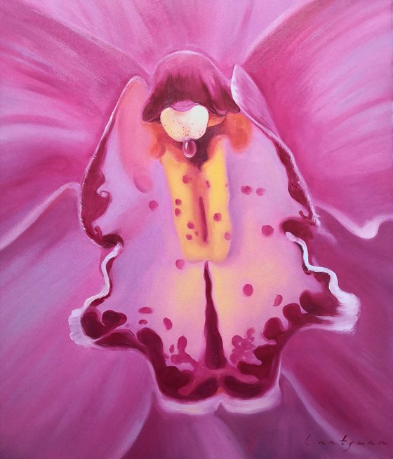 Dyptich of two Orchids 2-  flowers of femininity and passion