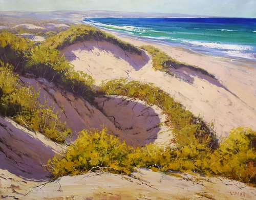 Light across the dunes, central coast by Graham Gercken
