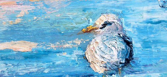 Seagull Sunrise