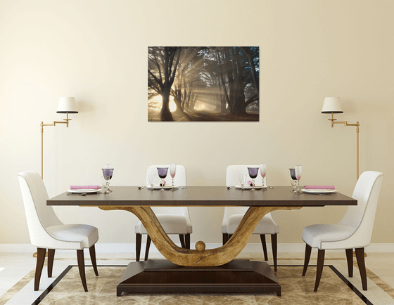 Cypress Tree Sunrise