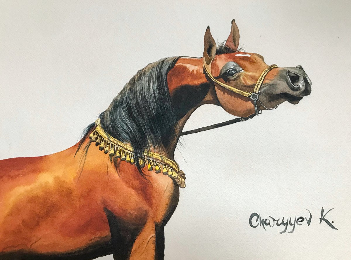 Arabian horse by Kakajan Charyyev