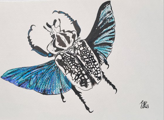 Goliath beetle. Insects wings. Ink. Pancil. Mixed-media