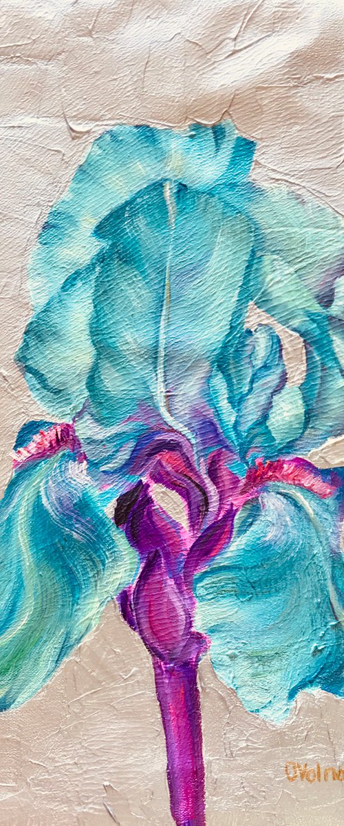 Turquoise Iris by Olga Volna