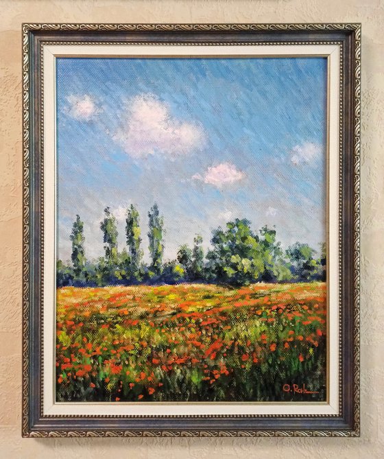 Poppy field at noon