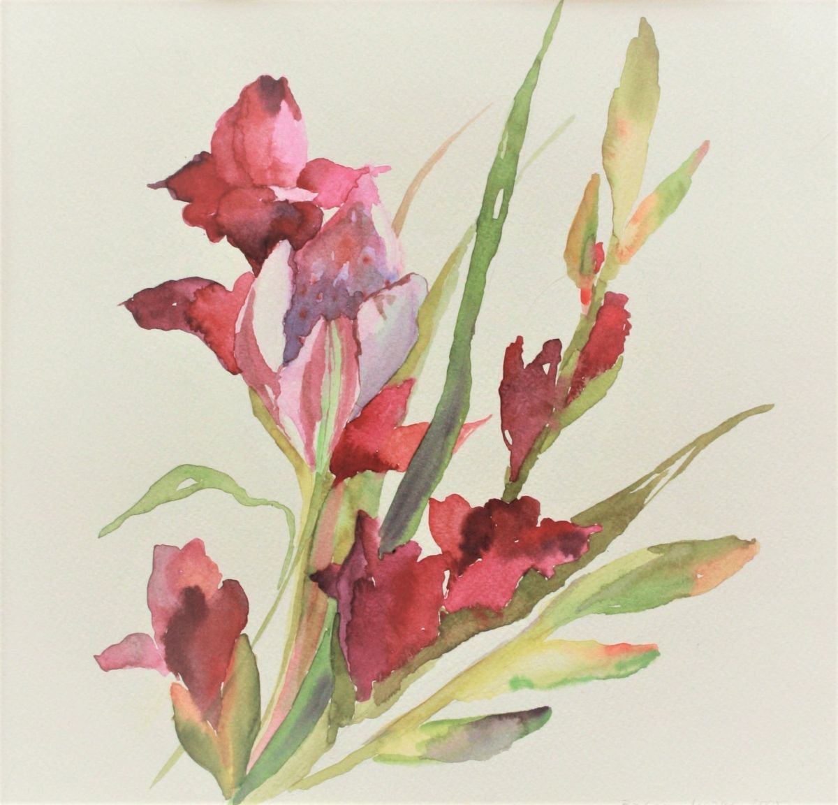 gladiola flowers by Barbara Mazur