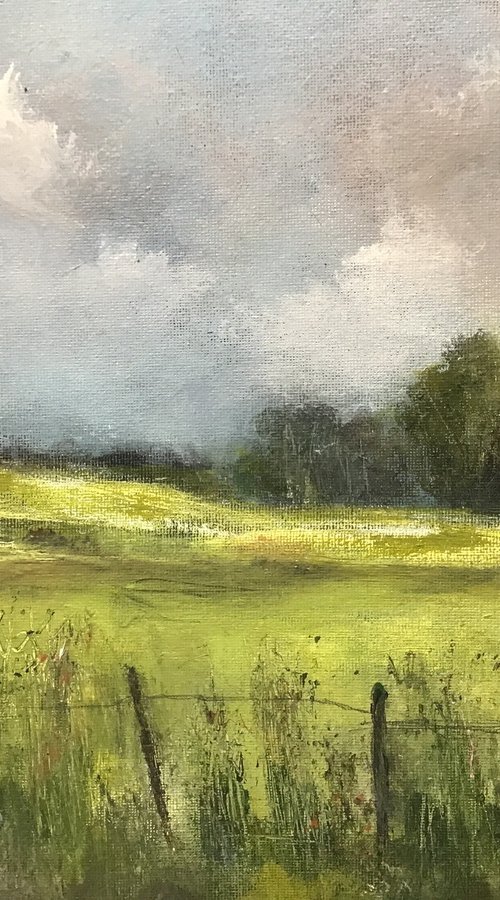 A Cornish Meadow by Maxine Anne  Martin