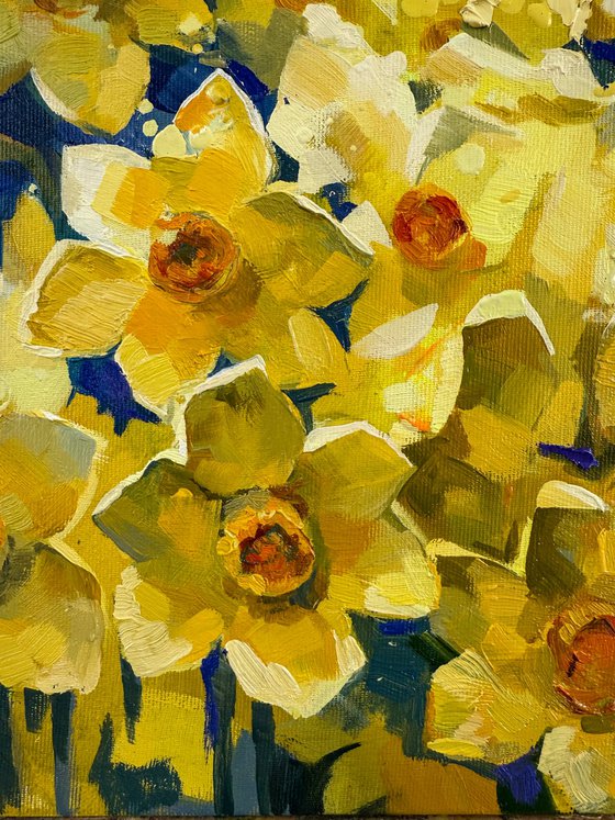 Narcissus