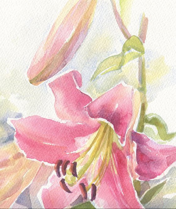 Pink lily / ORIGINAL watercolor 11x15in (28x38cm)