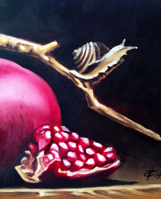 The snail who loved pomegranate