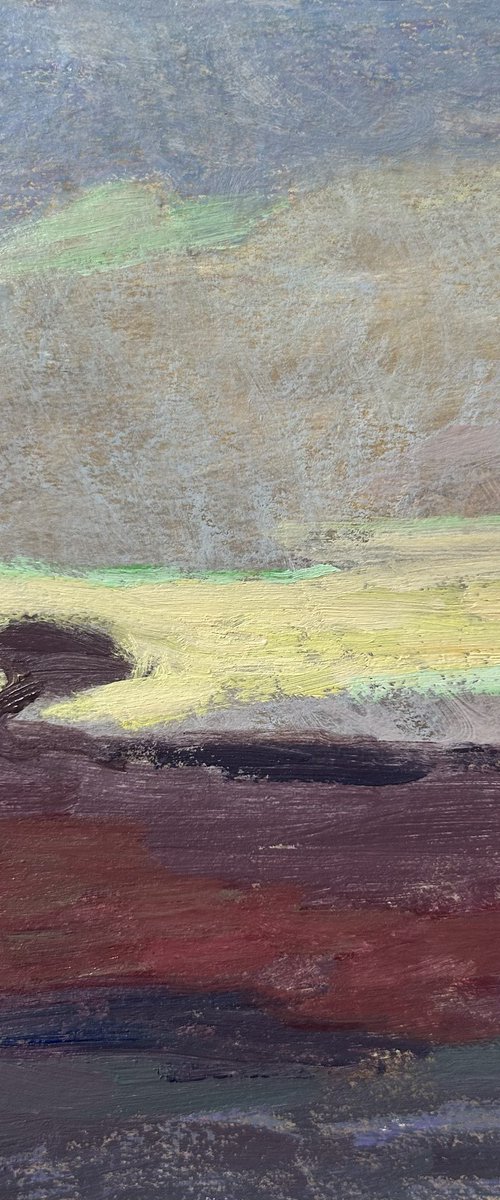 Purbeck Study - Arne by Kimberley Day