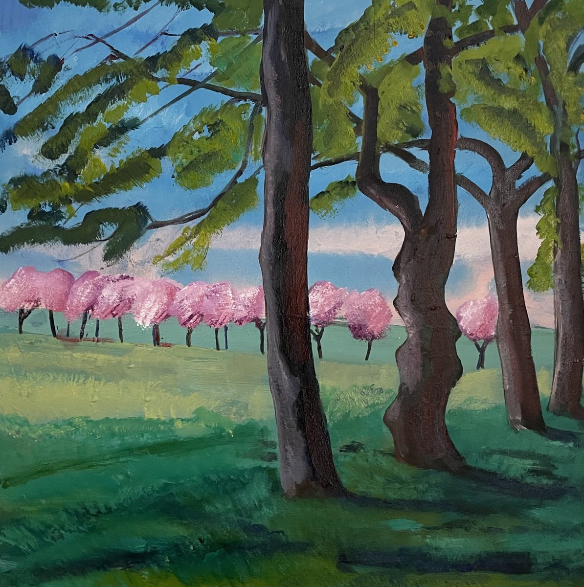 Impressionistic Landscape Oil Painting By Stephen Howard Harrison, 24 X 24", Edinburgh Meadows, Spring, Original Artwork