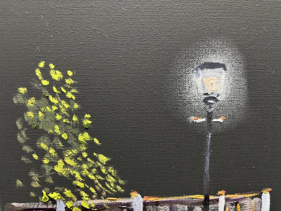 Street lights in the Dark