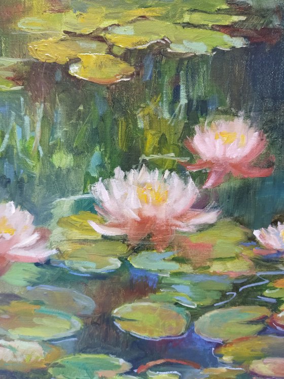 Water Lilies 60x40cm