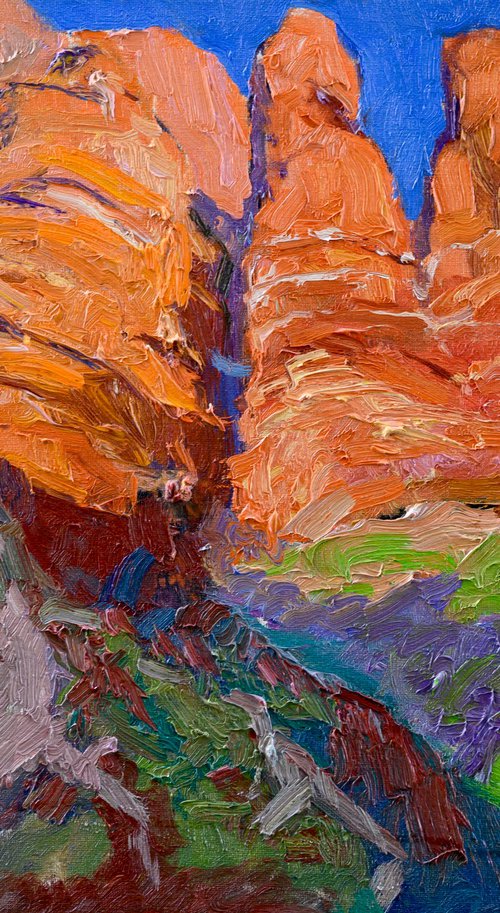 Red Rocks, Utah by Suren Nersisyan