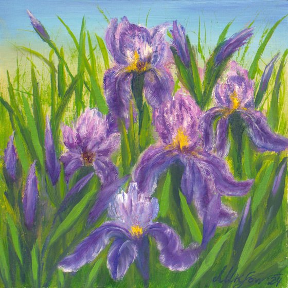 Irises