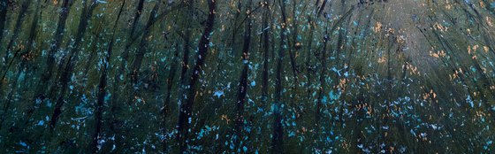 Midnight Reflections