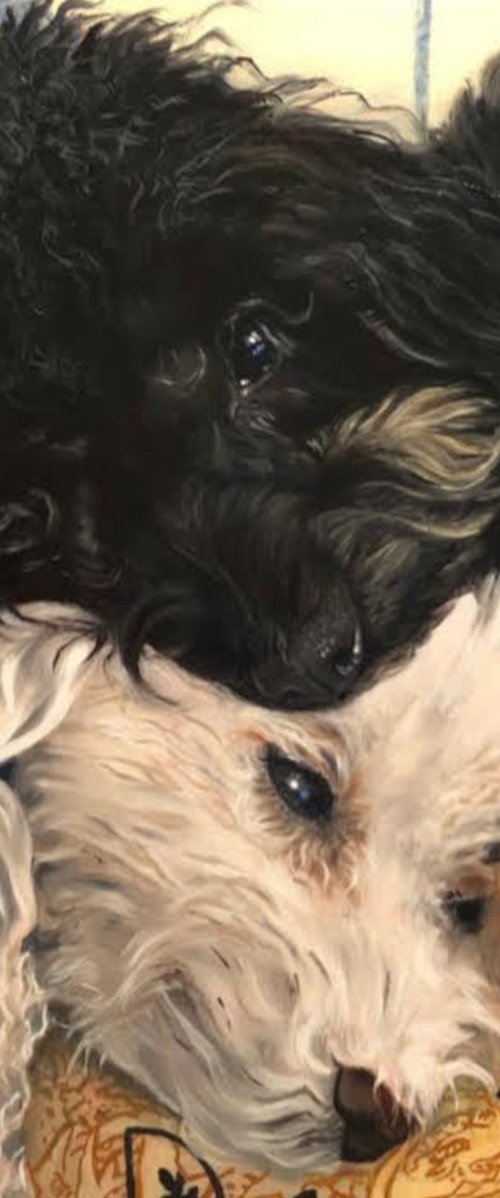 Soulmates in Curls (Commissioned Portrait) by Angelo Di Carlo