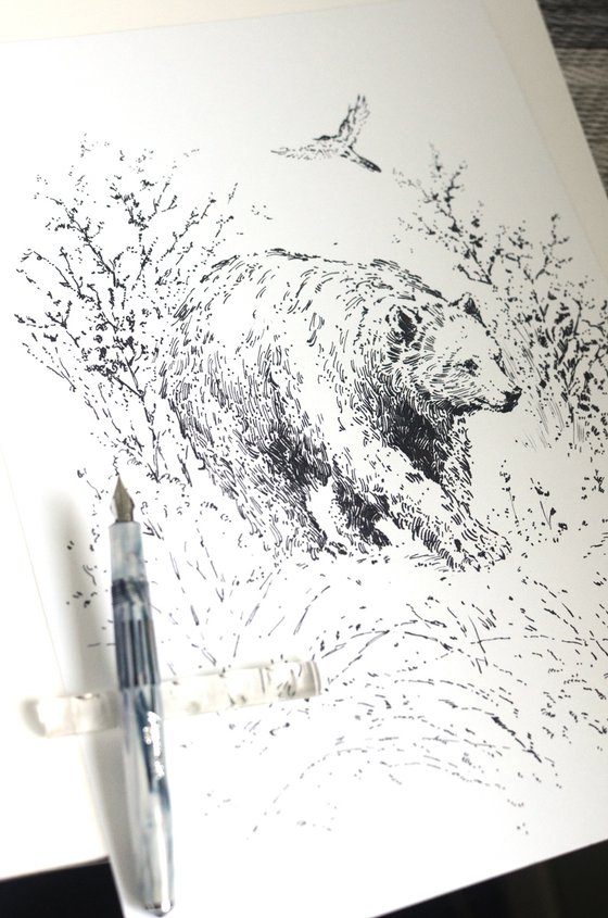 A Bear on a Walk