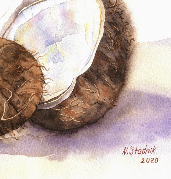 Ukrainian watercolour. Coconut