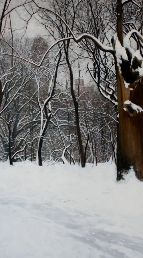 Central Park 1 by Sergej Sologub