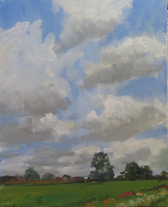 Midsummer Meadow