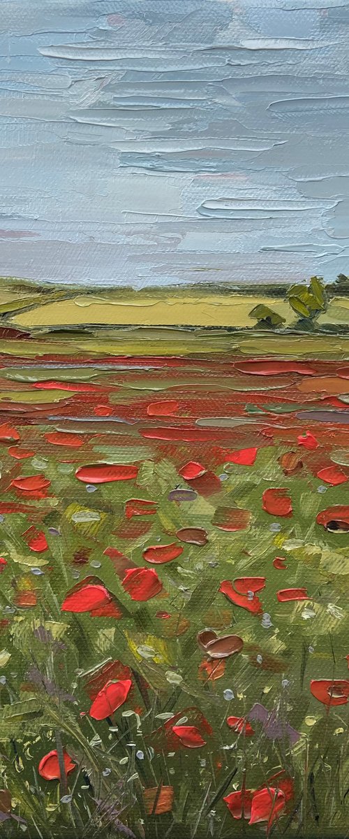 Landscape oil painting Poppy Flowers Field Original Oil Painting 23х28cm Palette Knife Impasto by Leysan Khasanova