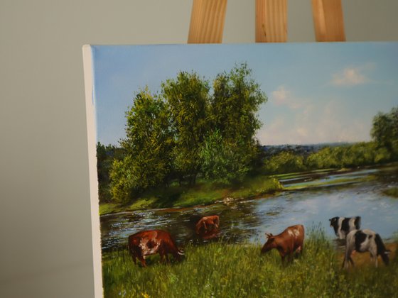 Pastoral Farming, Cows at Watering Place