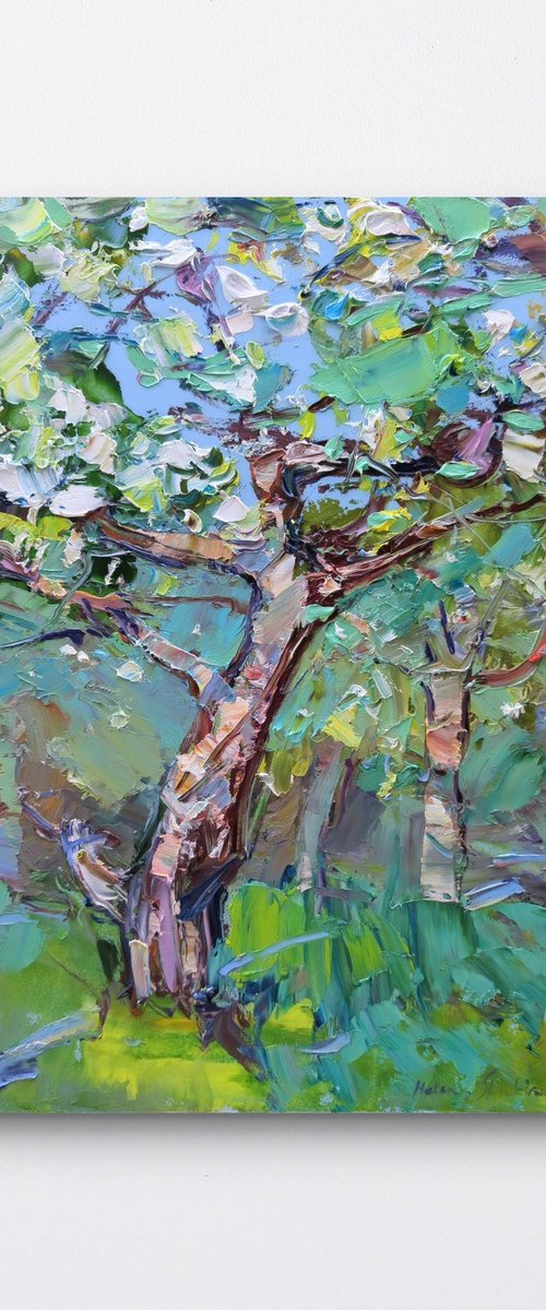Apple tree blossom by Helen Shukina