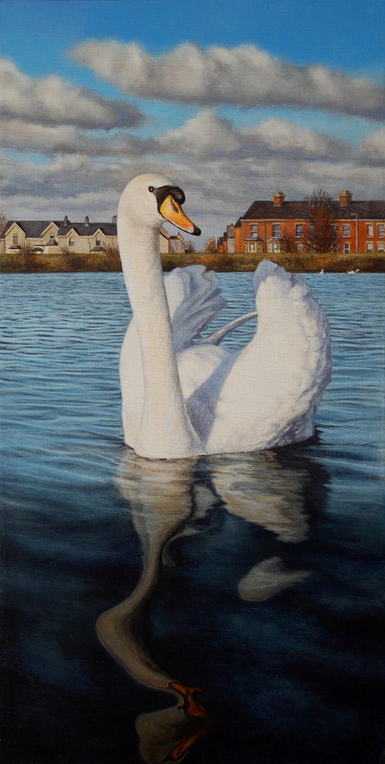 Swan at Belfast Waterworks I