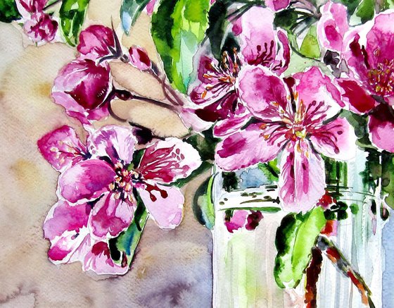 Spring from the garden