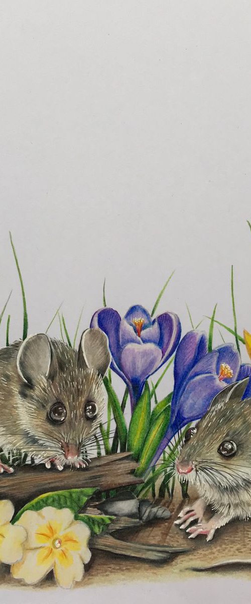 Spring mousies by Karen Elaine  Evans