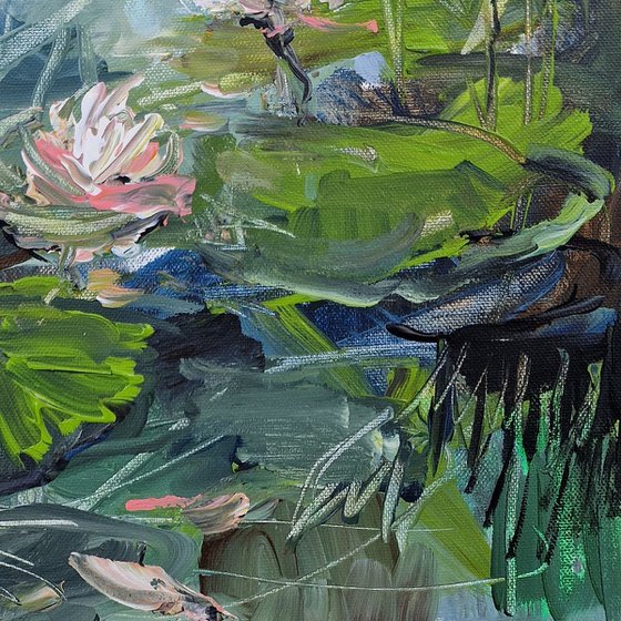 A little lily pond I