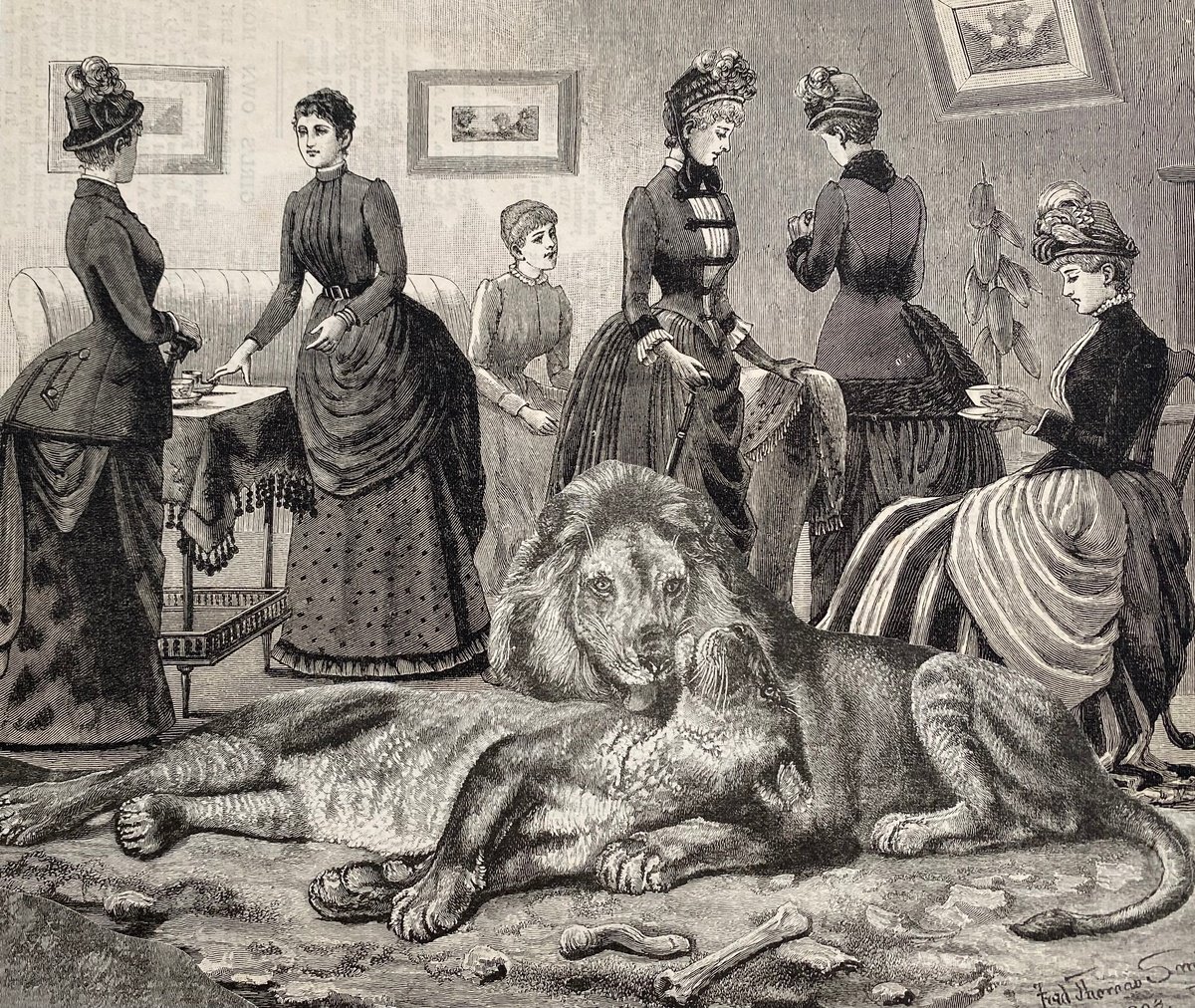 Surrealistic Collage , Mary And Her Lions By Tudor Evans, 9 X 8, Artwork For Sale On Artfinder
