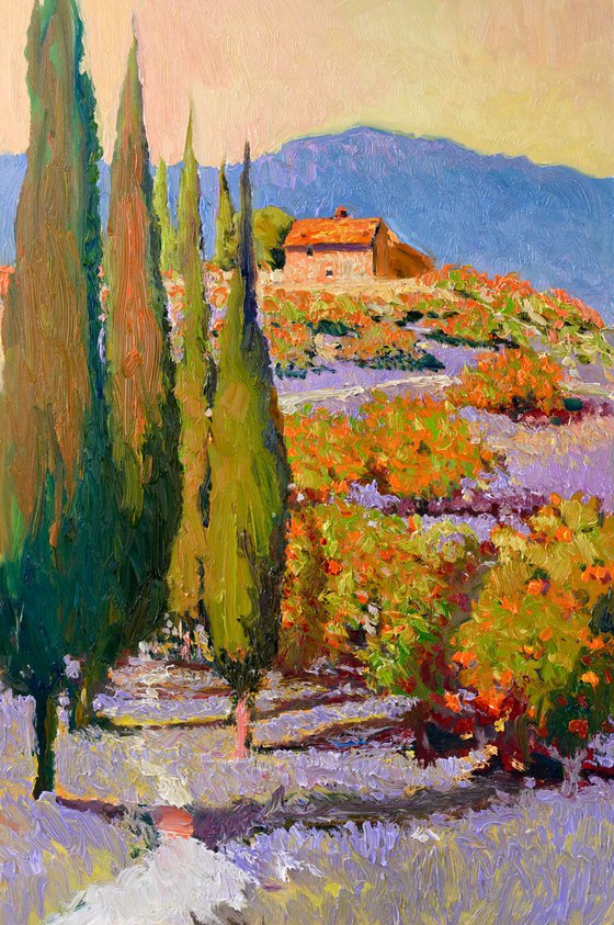 Through the Orange Grove